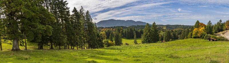 nature, rolling landscape, green, no people, pine woodland, discolored, land, distant view, autumn, vision, summer, distant, outlook, plain, high, plant