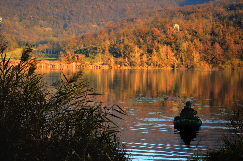 holidays, non-urban scene, brown, autumn, vista, tranquility, life, hill, riva, landscape, boat, beauty in nature, shadows, upstream, tree, reserve, water lilies