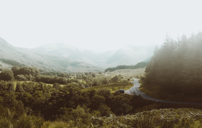 landscape, tranquil scene, daytime, winding, no People, rural Scene, field, tree, road, Roads, land, near, tranquility, environment, hill, plant, mountain range