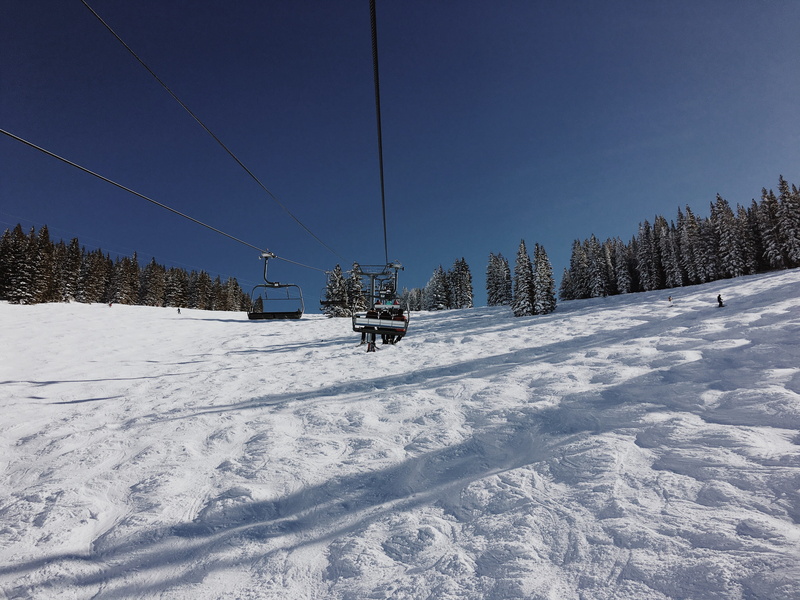 outdoors, vail, tree, nature, day, ski, tranquility, transportation, forest, ski resort, moguls, white color, mountains, cable, sky, mode of transportation