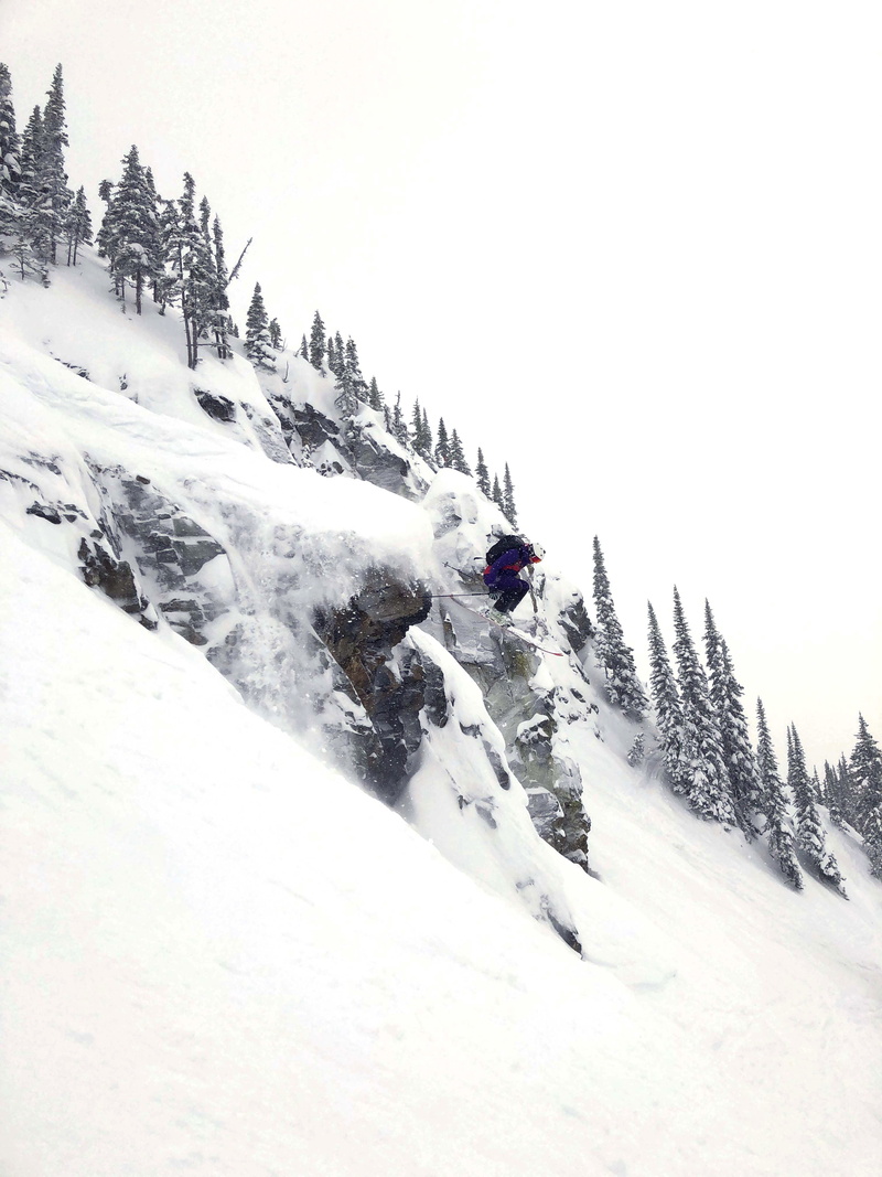 vegetation, snowcapped mountain, outdoors, abies, extreme weather, plant, person, fir, leisure activity, nature, white color, snowboarding, slope, tree