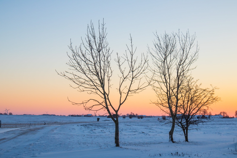 camera, geo:location, 5K, canon, iso_speed, season, lens, sunset, black, countryside, canon eos, Söderslätt, ice, nature, frozen, outdoors, country, tree