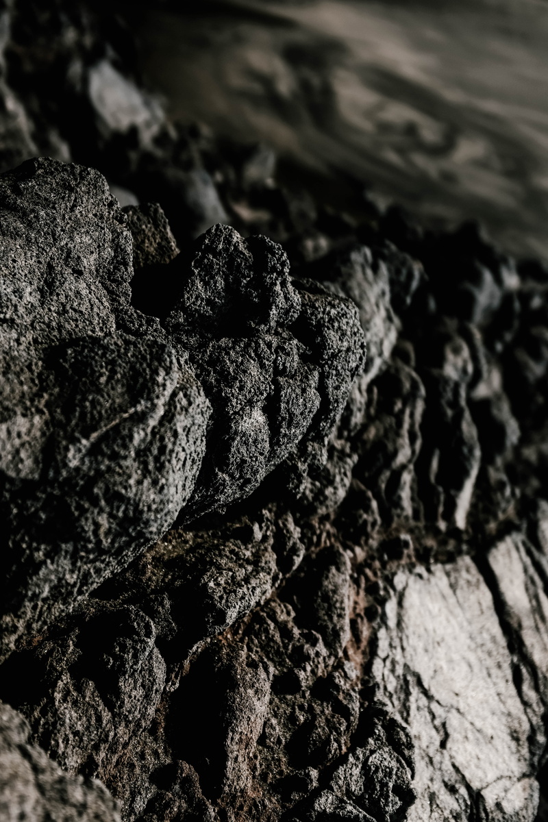 sea, tree, soil, coal, growth, volcano, floral, mud, no people, rough, outdoors, tree trunk, ocean, pattern, white, black and white, dirt, close-up, texture