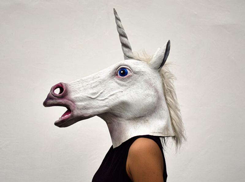 animal, portrait, indoors, studio, model, unicorn, studio shot, cute, obscured face, fashion, fur, youth, 4K, headshot, mask - disguise, representation