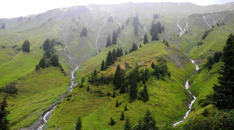 landscape, streams, mountains, 2K, austrian, alps, trees