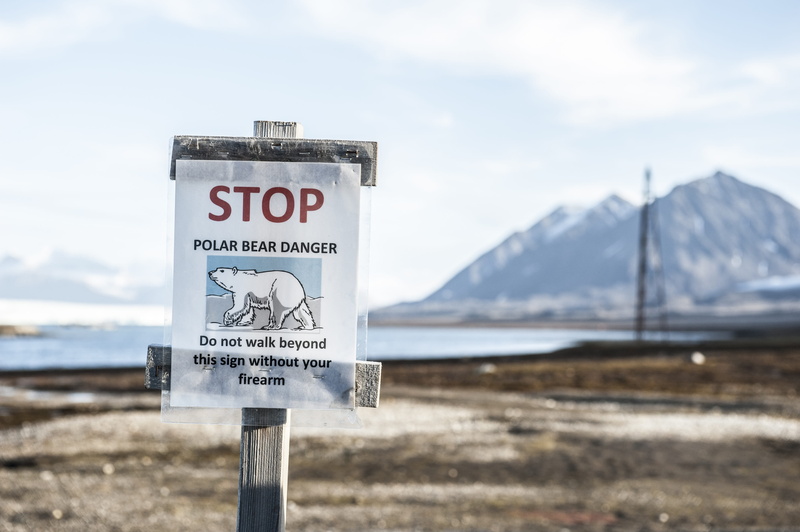 spitsbergen, sky, scenics - nature, 4K, mountain, communication, information, sign, norway, snowcapped mountain, research institution, north, environment