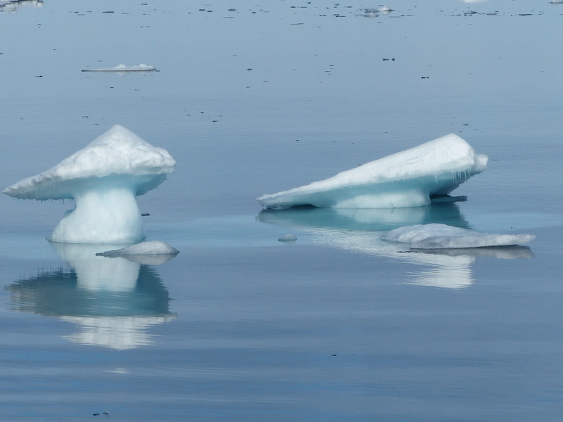 ice, no people, environment, melting, frozen, waterfront, floating on water, Icy, snow, iceberg, glacier, day, water, tranquility, cold temperature, winter