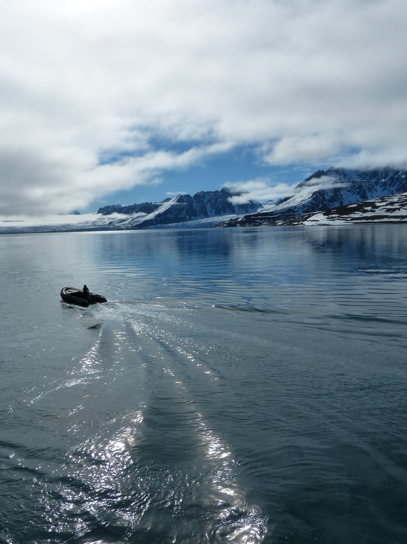 real people, spitsbergen, unrecognizable person, winter, animals in the wild, sky, day, waterfront, lake, animal, sea, arctic zodiac, outdoors, 2K, mountains