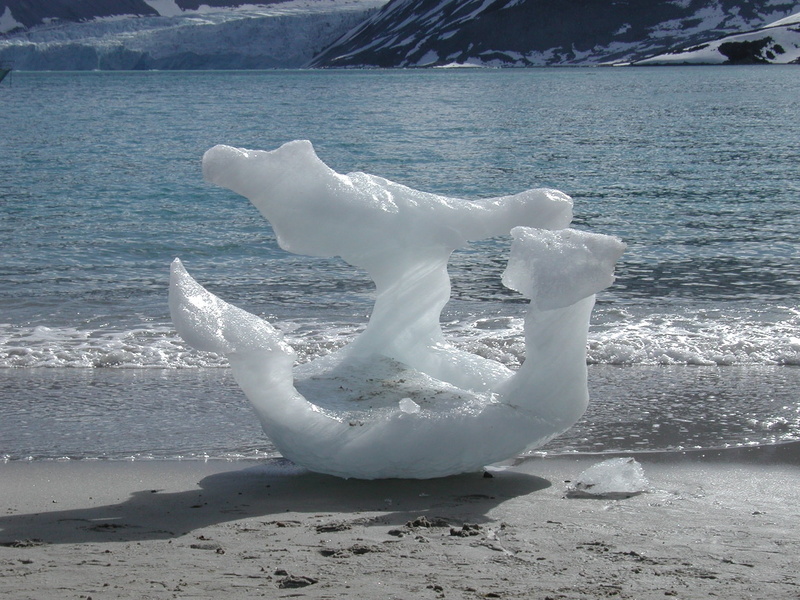 animal wildlife, day, no people, snow, cold, beach, animals in the wild, outdoors, nature, ice, white, cold temperature, frozen, iceberg - Ice Formation
