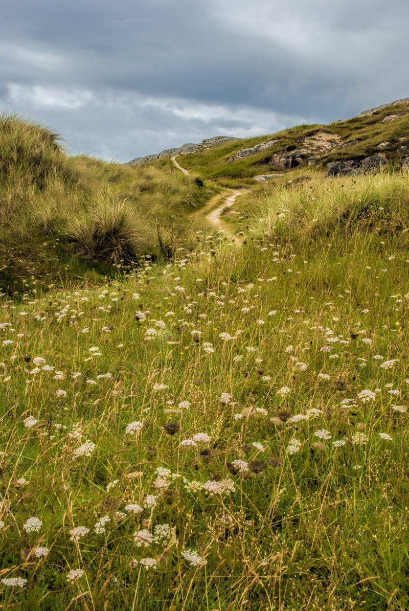 outdoors, scottish, coastline, lochinver, green color, scotland, day, non-urban scene, semi-arid, timothy grass, scenics - nature, loch, light, cliff, sea