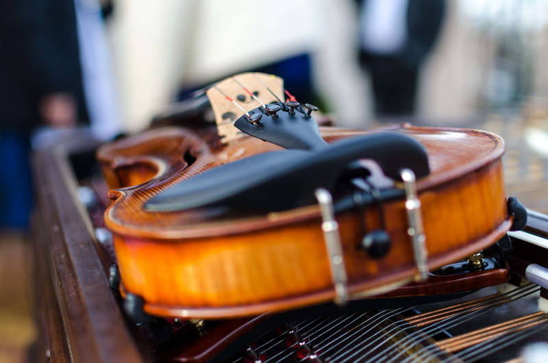 bottle, playing, music, string instrument, still life, selective focus, stringed instrument, band, musical equipment, performance, close-up, background