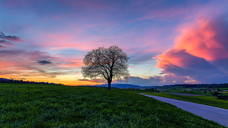 Affoltern, orange and blue, blue skies, cloud - Sky, outdoors, Dusk, nature, skies, tree  spring, Zurich, blue, orange, blue hour, commons, Sunset, 5K