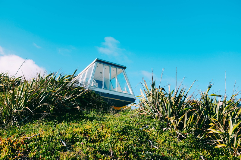 5K, no people, plant, growth, land, jar, outdoors, green, grass, vase, sky, vegetation, water, window, housing, boat, transportation, plants, building