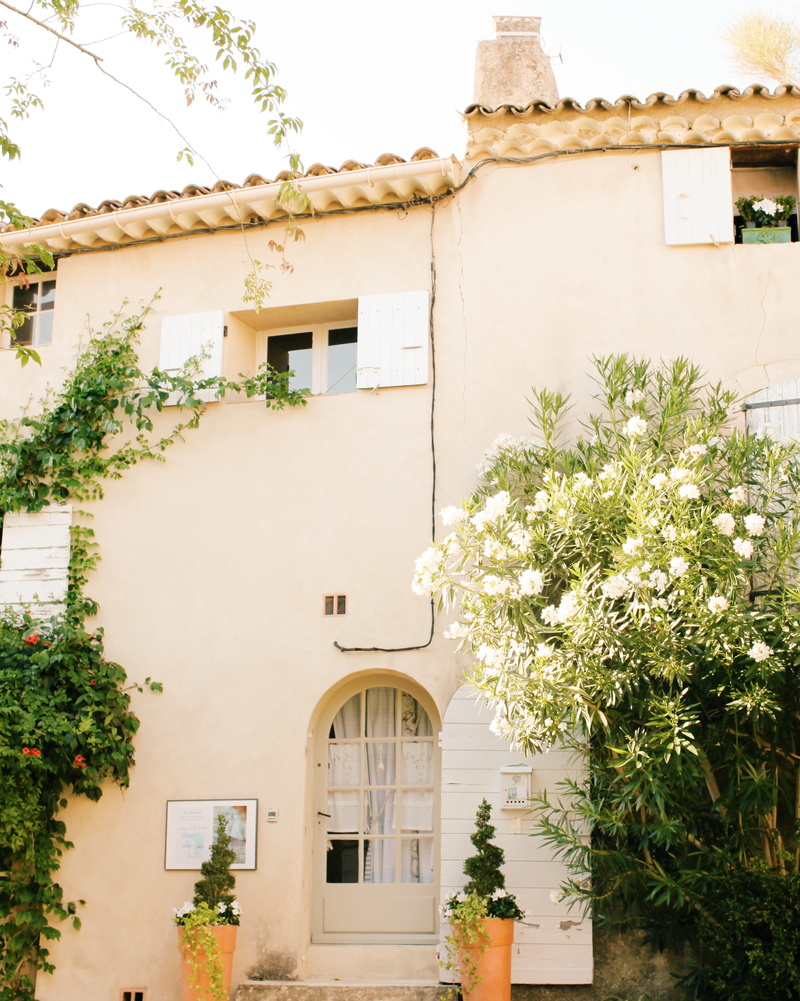 day, potted plant, house, herbs, white color, villa, jar, building, bush, concrete, garden, residential district, no people, vegetation, nature, city, growth