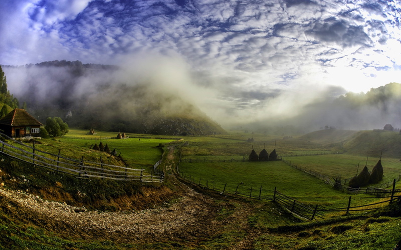 no people, daylight, scenics - nature, Romania, morning, outdoors, clouds, environment, grass, day, landscape, mist, beauty in nature, land, tree, nature