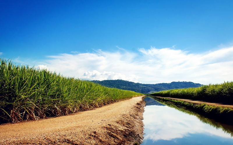 field, landscape, water, 2K, sky, canal, plants, nature, grass