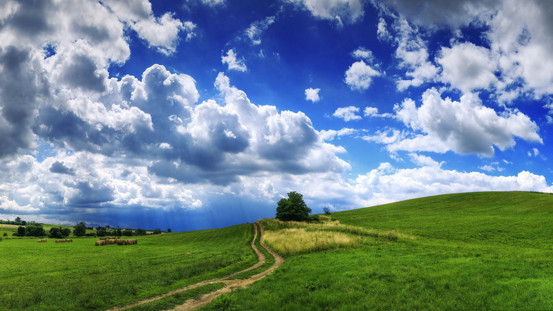trees, landscape, path, clouds, nature, summer, grass, straw, 1080P, hill, field