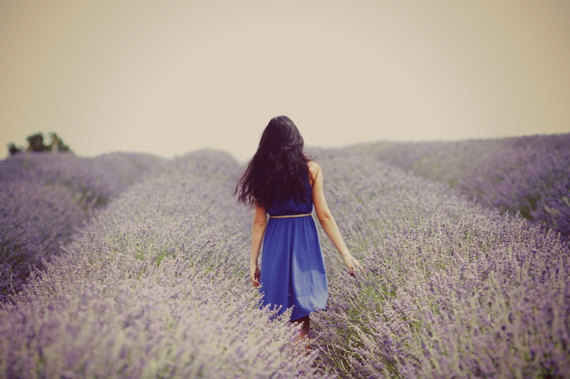 blue, europe, young Adult, happiness, land, women, lavender Colored, casual clothing, provence-Alpes-Cote dAzur, girl, s, meadow, perfume, field