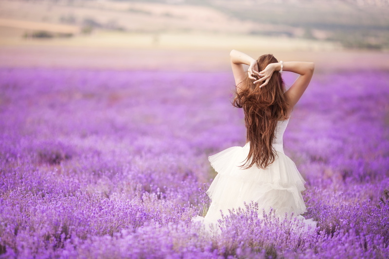 bouquet, women, hairstyle, plant, field, bracelet, lavender, grass, lavender Coloured, fashion, young Adult, provence-Alpes-Cote dAzur, beauty In Nature