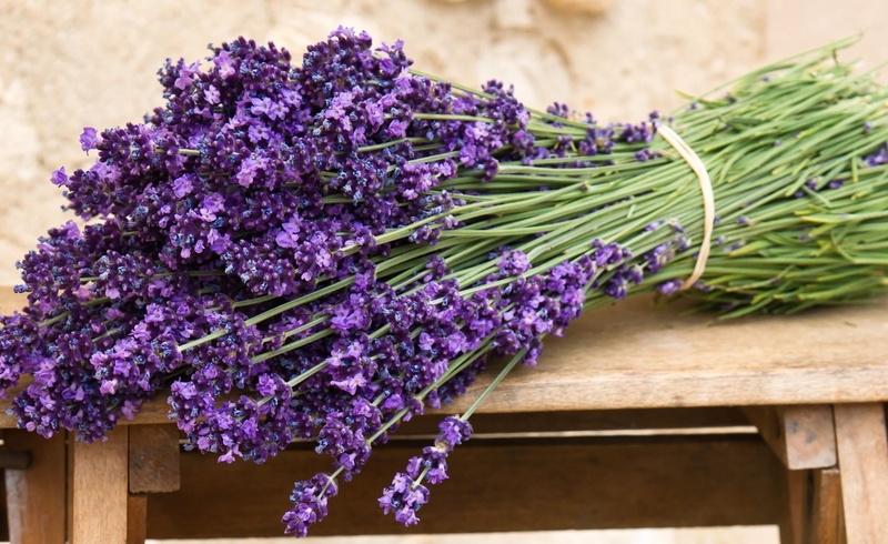 vulnerability, scented, lilac, lavender, day, cut Flowers, springtime, nature, herbal Medicine, flowering plant, wood - Material, summer, plant, purple