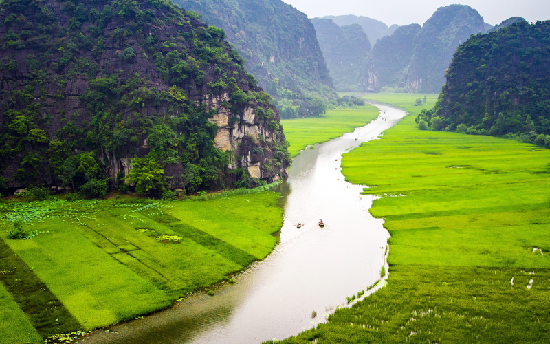 outdoors, tam, nature, tree, flowing water, land, 4K, coc, grass, green color, water, environment, idyllic, mountain, beauty in nature, plant, day, non-urban scene