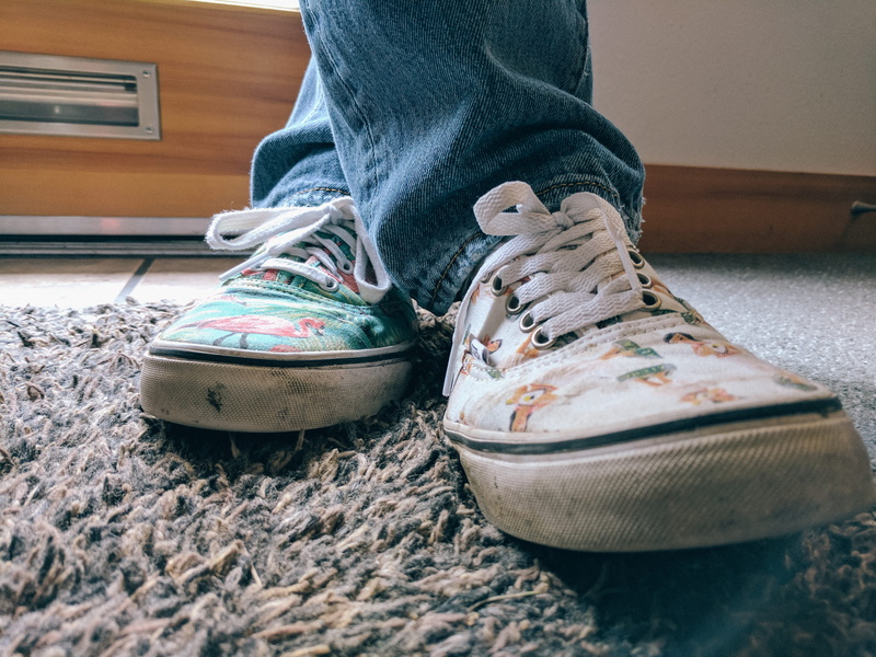 flamingo, sock, day, one person, casual clothing, united states, jeans, lifestyles, teddy bear, body part, shoes, shoe laces, human leg, human limb, 4K