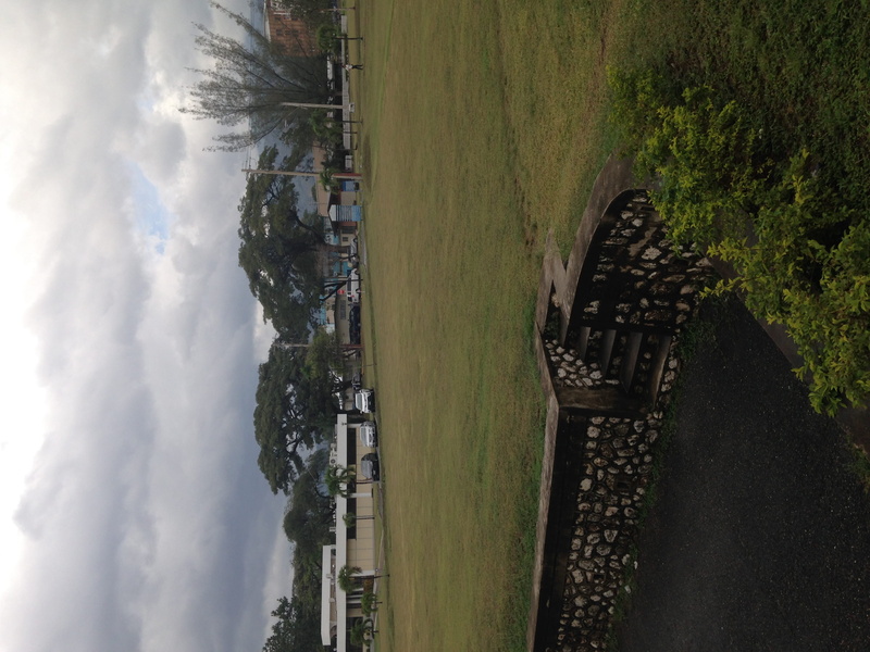 transportation, cloud - sky, nature, high angle view, trees, road, kingston, the university of the west indies - mona, outdoors, building exterior, day