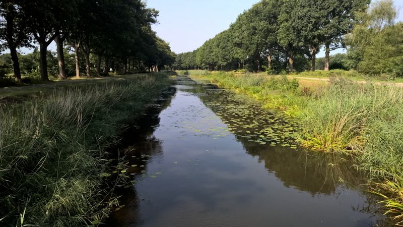 land, sky, no people, channel, plant, 5K, beauty in nature, overijssel, diminishing perspective, river, tree, scenics - nature, outdoors, tranquility