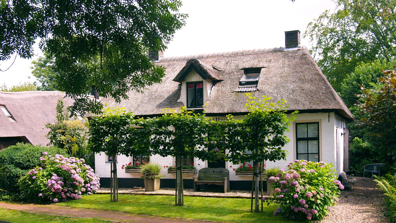 sountry, building exterior, architecture, real estate, town, residential district, netherlands, home, grass, window, plants, flowering plant, sky, village