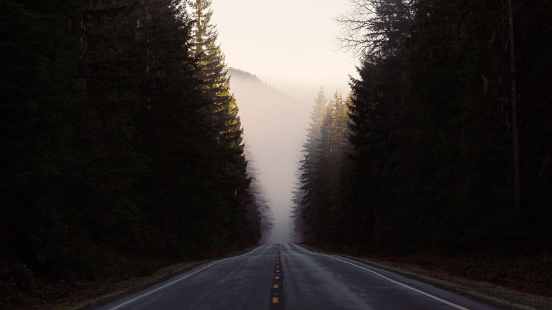 westrock, 5K, USM, trees, john, morning, travel, no People, landscape, Any Road, fog, scenics, nature, forest, highway, mountain, Pacific Northwest, washington