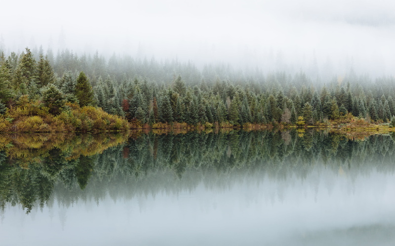 nature, woodland, trees, 70mm, scenics, washington, beside, lake, forest, f/2, Gold Creek, landscape, calm, 5K, water, autumn, Canon EOS 5D Mark III, True