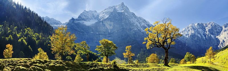 Covered, leaf, Austria, Karwendel, Mountains, Maple, Autumn, Snow, 4K, Trees, green