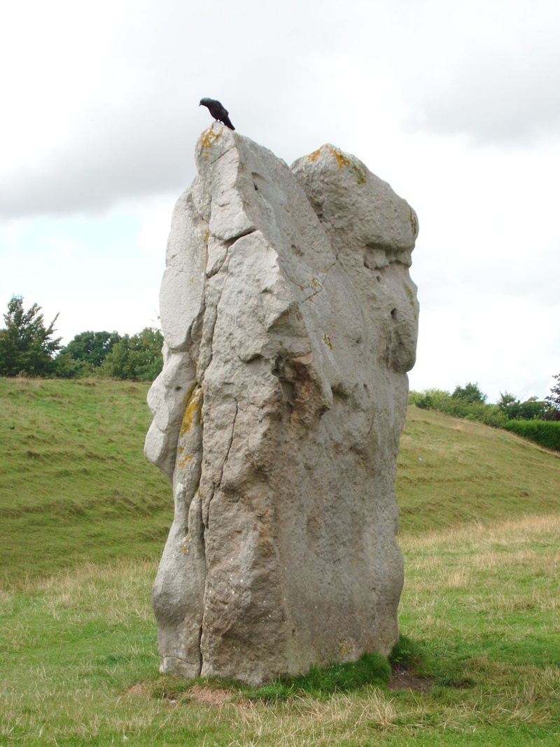 1080P, rock - object, vertebrate, no people, plant, landscape, grass, solid, animal, field, avebury, environment, animal themes, pierre, land, nature
