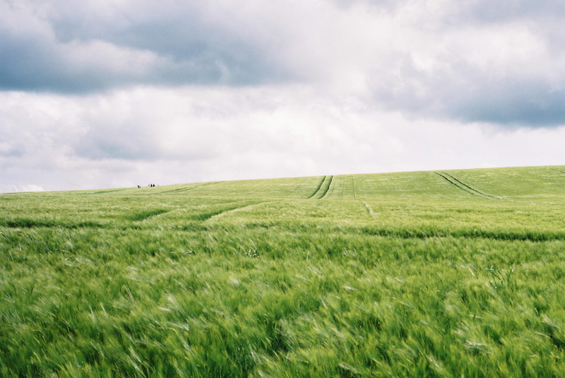 environment, nature, tranquility, beauty in nature, rural scene, agriculture, summer, farm, crops, hill, green color, film, horizon, green, scenics - nature