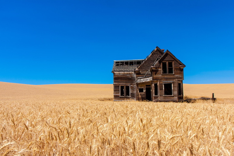 yellow, no people, copy space, land, sky blue, day, bright, abandoned, landscape, old building, outdoors, house, blue, crops, field, tranquility, photography