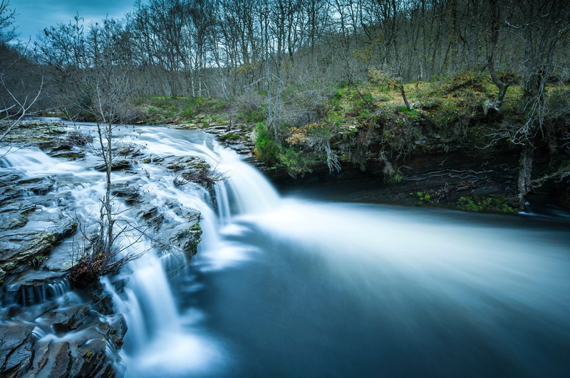 2K, forest, rapids, stream, trees, river, rocks