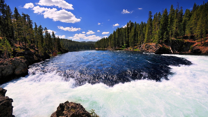 rapid, trees, hd, 1080P, river, forest, nature