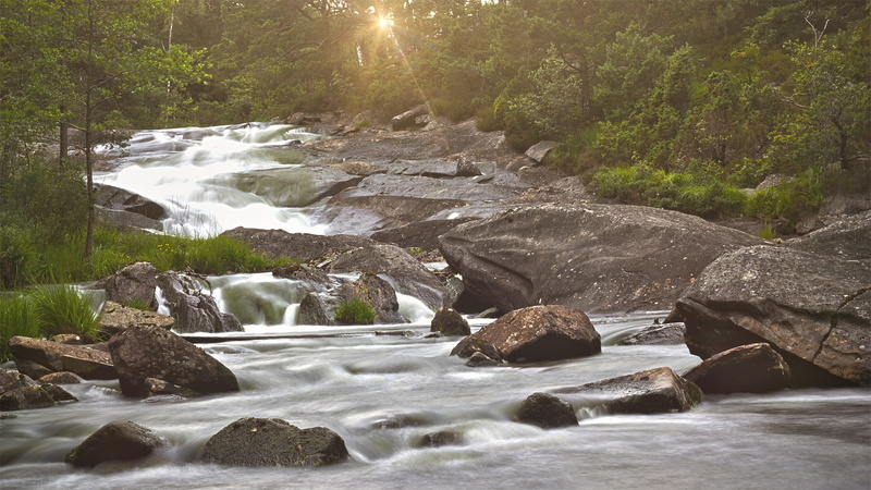 forest, stones, hd, nature, rocks, rapid, 720P, river