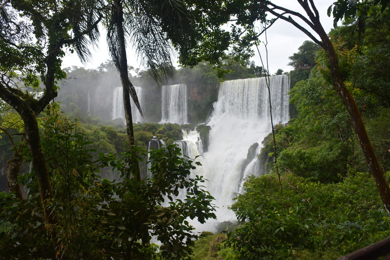 power in nature, power, Argentina, Brazil, water, rainforest, flowing, outdoors, growth, no people, forest, long exposure, plant, day, beauty in nature
