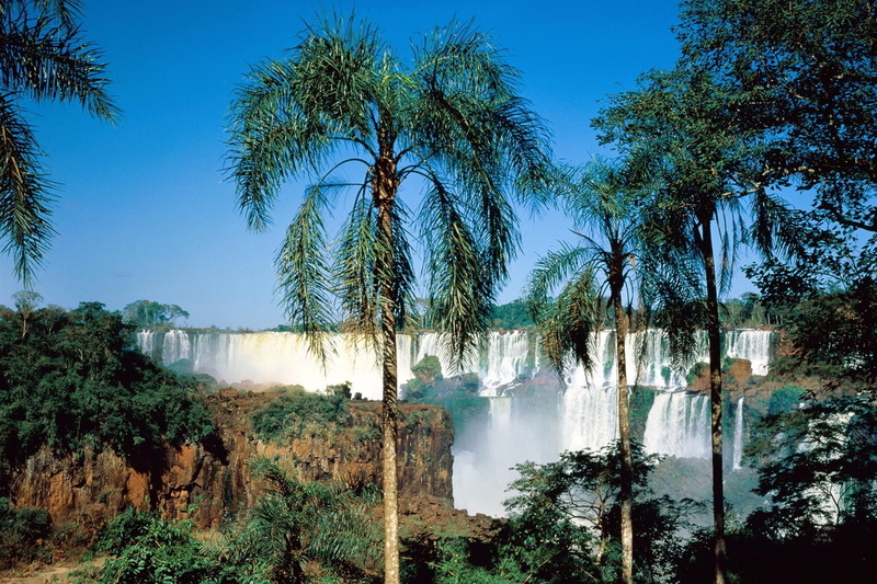 1080P, Water, Iguazu Falls, Argentina, Vegetation, Waterfalls, Nature, Waterfall