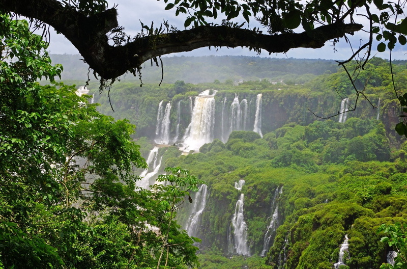 forest, nature, Iguazu Falls, power in nature, Pantanal, beauty in nature, green color, land, Brazil, non-urban scene, plant, motion, tree, water, no people