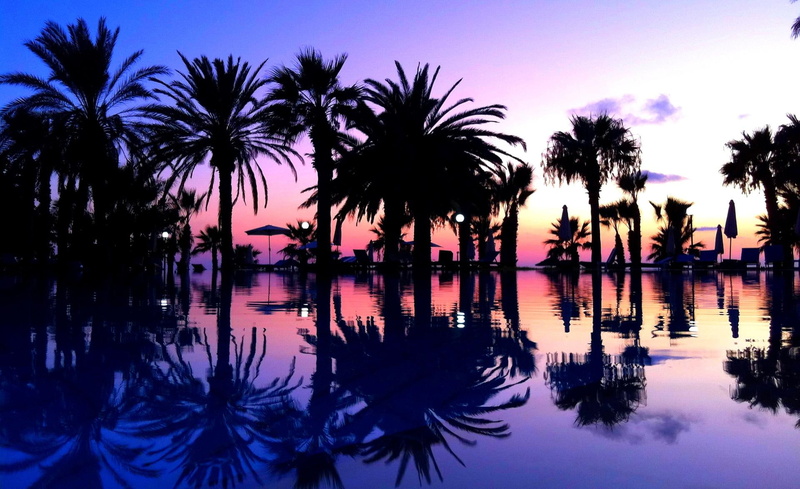 trees, nature and landscapes, tropical, 1080P, palms, silhouette, paradise, beach, purple