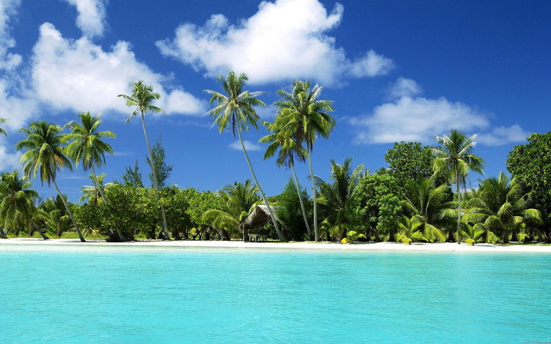 paradise, beach, 1080P, tropical, nature