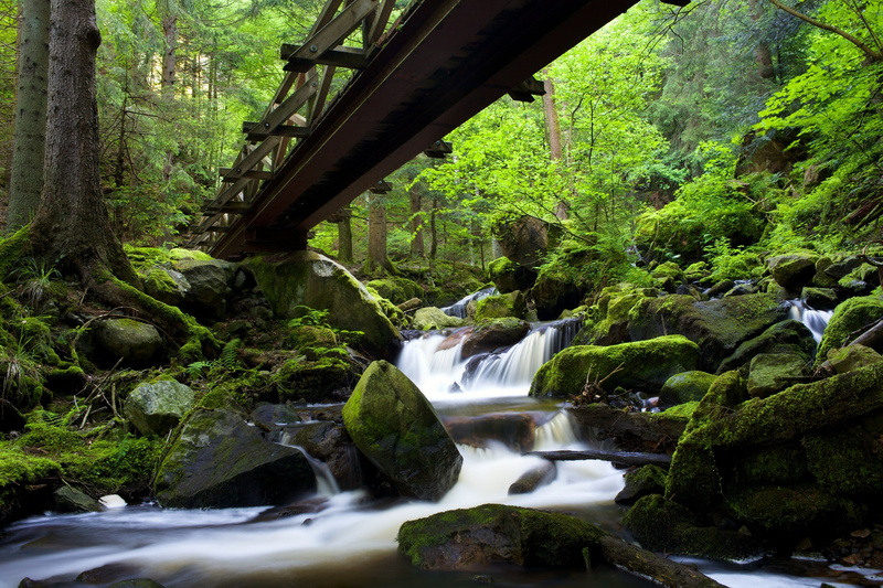 cascade, The black forest, Ravenna gorge, Baden-Württemberg, river, 2K, bridge, Black Forest, stones, Germany, forest