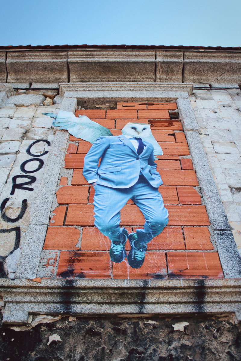 sky, day, bricks, nice, awesome, bird, 5K, costume, wall - building feature, red, architecture, clothing, text, outdoors, full length, creativity, blue