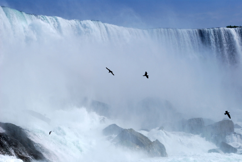 outdoors, amazing, niagara, waterfalls, environment, united states, river, bird, animal wildlife, mountain, flock, animals in the wild, foaming, day, new york state