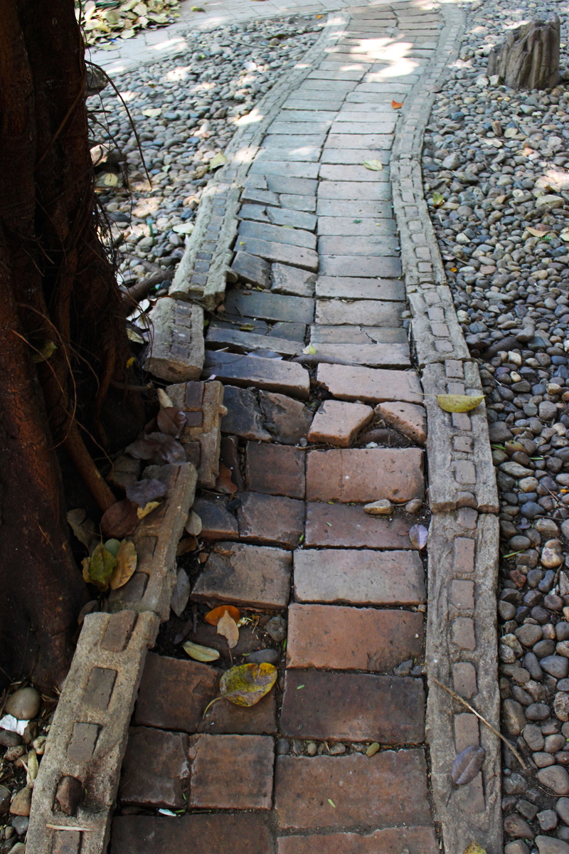 street, staircase, garden, nature, attractive, tranquil, garden path, 5K, direction, park, the way forward, old, outdoors, ruins, lane, landscaping, paving stone