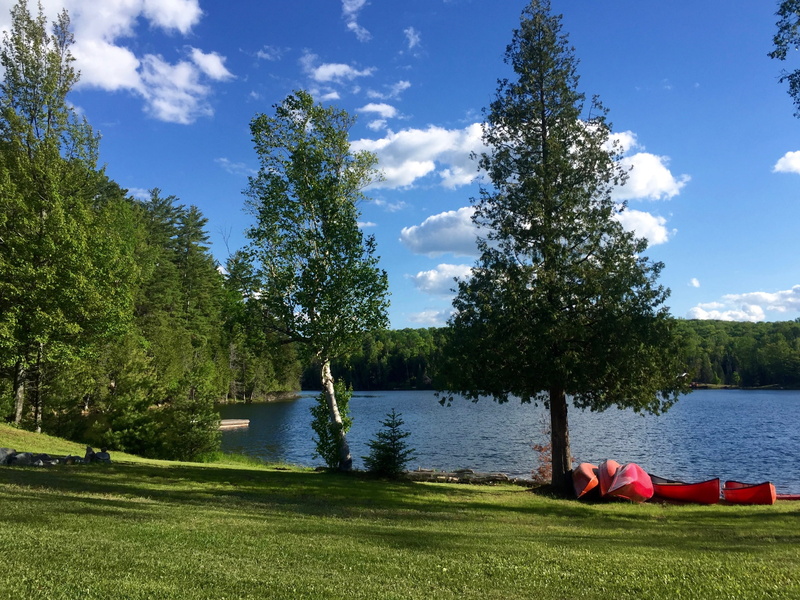 tree, blue, lifestyle, tranquility, holiday, harmony, outdoors, green, grass, trees, outdoor, seasonal, dom, lake, environment, leisure, retreat, relaxing