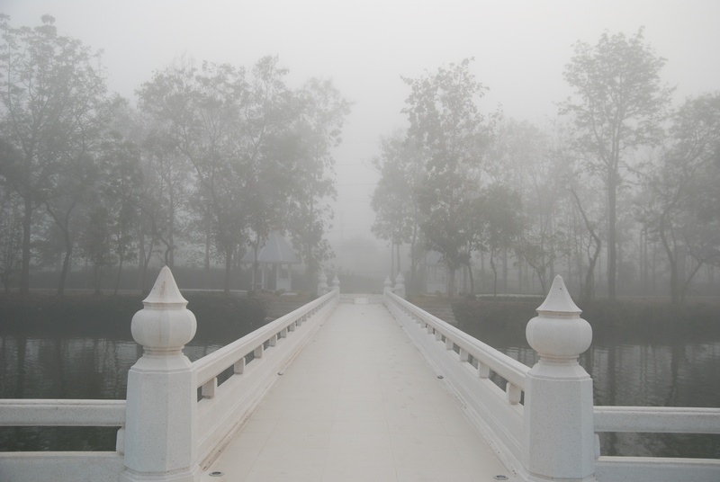 transportation, 4K, bridge, day, winter, white color, growth, peace, tranquility, plant, nature, inner, fog, meditation, lake, outdoors, cold temperature