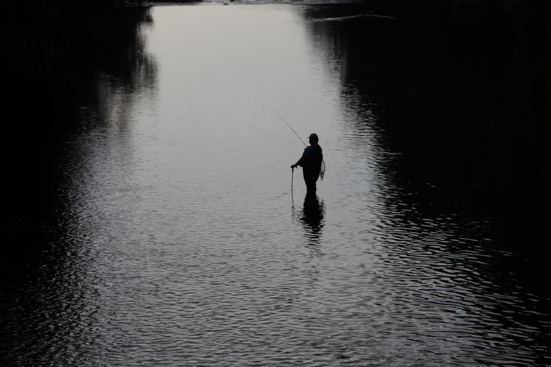 tranquility, rear view, peace of mind, river, the fisherman, animals, lake, outdoors, lifestyles, day, Poland, waterfront, 4K, men, nature, silhouette